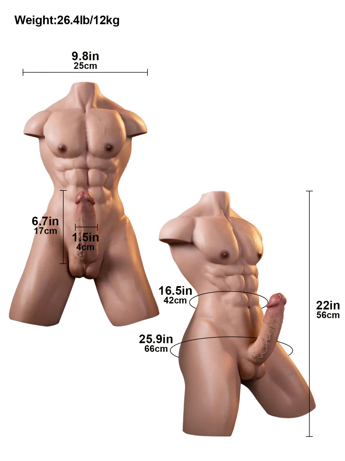 Lucas - Torso Hombre Musculoso de Silicona Premium de 12 kg con Dildo Realista - 17 cm