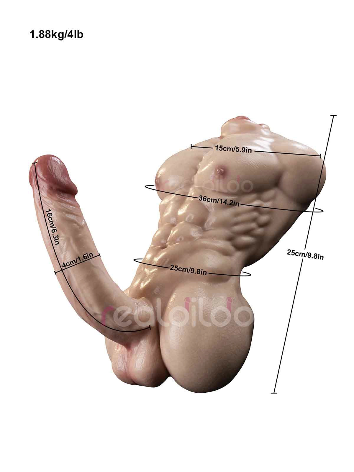 Rook - Torso con Pecho, Abdomen y Pene - 1,88 kg